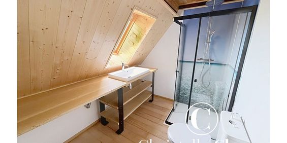 Appartement - BUSCHWILLER - 36m² - 1 chambre - Photo 3
