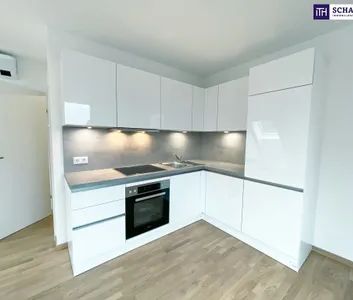 2 Zimmer mit Klimaanlage und Terrasse | Ruhelage | Badeteich Hirschstetten in Fußnähe - Photo 2