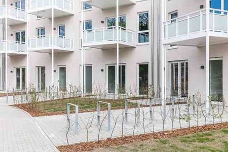 Schöne 3-Raum-Wohnung mit offener Wohnküche, Bad mit bodengleicher Dusche, Terrasse! - Photo 3