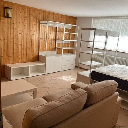 Appartamento arredato di 2 locali in affitto a Massagno - Photo 4