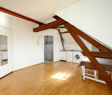 Location Appartement 1 pièce 19m² STE SAVINE 10300 - Photo 6