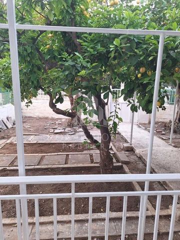 Μονοκατοικία για ενοικίαση Μοναστήριο (Άγιος Δημήτριος) - Photo 3