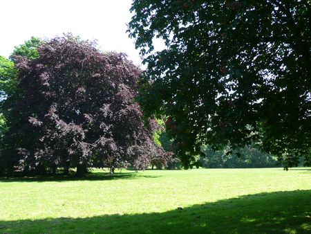 Einzug ab 01.06.2026 möglich. 3-Raumwohnung im 1.OG - Foto 2