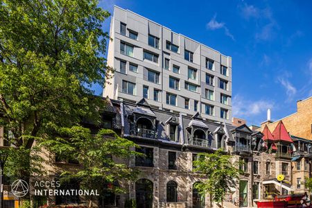 MC135 - Loft Centre-Ville, Montreal - Photo 5