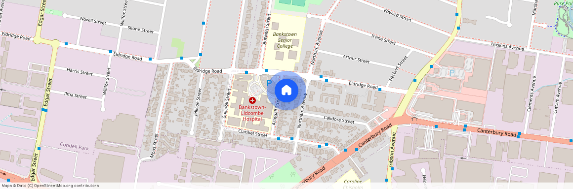 3 Artegall Street, NSW 2200, Bankstown