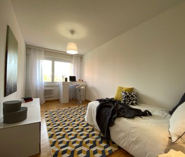 8606 Greifensee - Photo 2