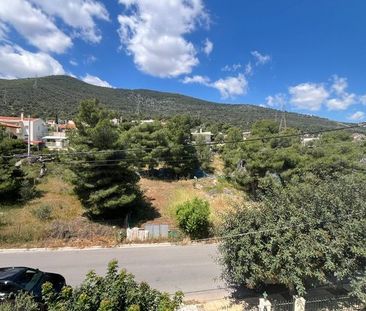 Μονοκατοικία για ενοικίαση Κέντρο (Γλυκά Νερά) - Photo 3