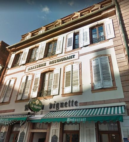 Location Appartement 2 pièces 50m² WISSEMBOURG 67160 - Photo 5