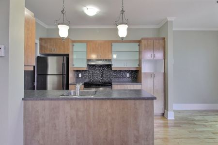 98 Rue St-Norbert, app.9, H2X 3Z2, H2X 3Z2, Montréal - Photo 5