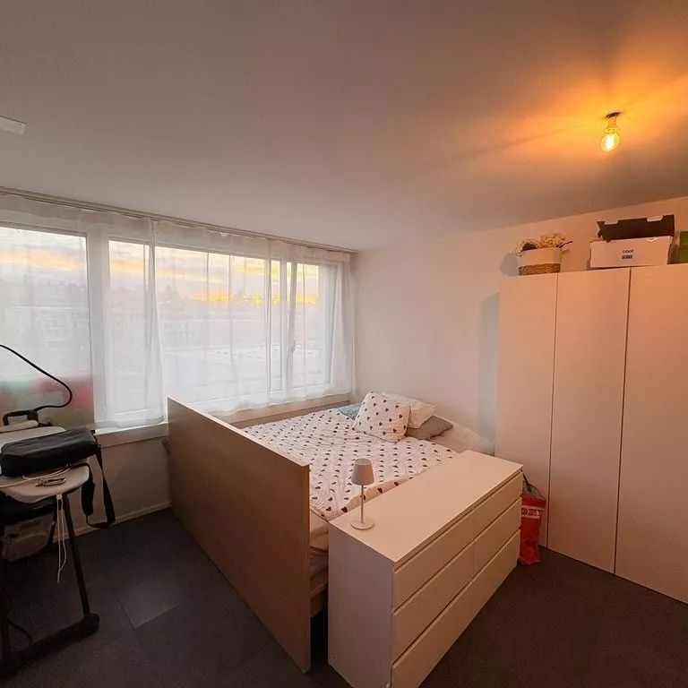 Récent logement de 1,5 pièces au coeur de Bussigny - Foto 1
