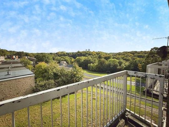Middle Hay View, Sheffield, S14 - Photo 1