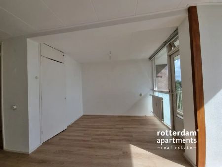 Appartement de 2 chambres sur Wilgenplaslaan, Rotterdam-Schiebroek - À Louer - Photo 3