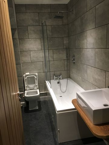 Modern Ensuite in Quiet Professional Home - Photo 4