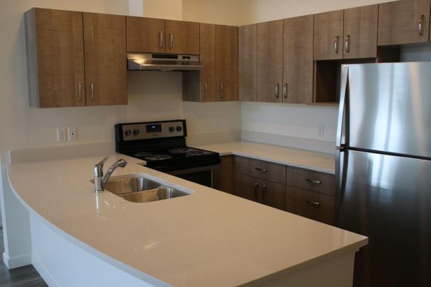 New 3 Bedroom Suite, Abbotsford BC - Photo 1