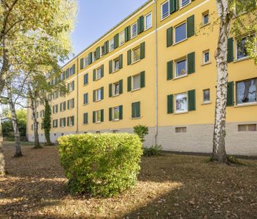 3-Zimmer-Wohnung in Kaiserslautern mieten - Photo 4