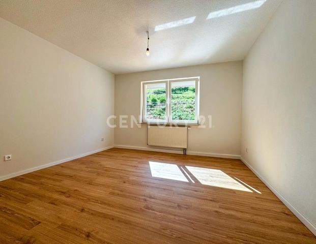 Charmante 3-Zimmer-Wohnung mit großer Terrasse, direkt am Lichtenfelser Stadtpark - Foto 1
