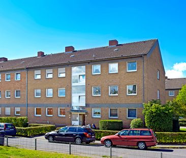 Demnächst frei! Renovierte 3-Zimmer-Wohnung in Telgte - Photo 1