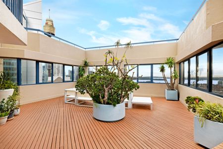 296/27 Park Street, Sydney NSW 2000 - Apartment For Rent | Domain - Photo 5