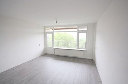 Torenmolen 0ong, 1035 AV Amsterdam, Nederland - Photo 3