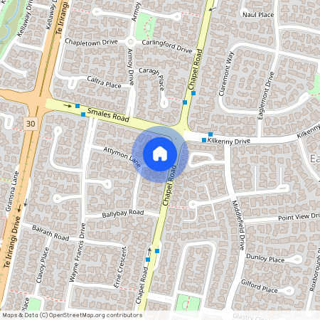 9 Campile Close, East Tamaki, Manukau City