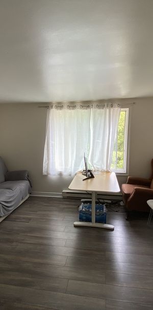 1 Chambre Appart À Louer Gatineau Hull - Photo 1