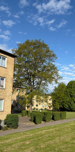 Ormastorpsgatan 12A - Foto 1