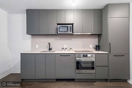 Furnished appartment for rent in the heart of Downtown Montreal - Photo 4