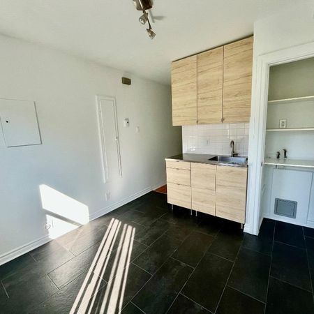 Superbe 3 ½ ensoleillé, libre maintenant, triplex, 2 ième étage, très propre - Photo 3