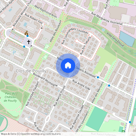 23 AV FRANKLIN ROOSEVELT, DIJON TOISON D OR