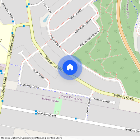 107A Withers Street, West Wallsend NSW 2286