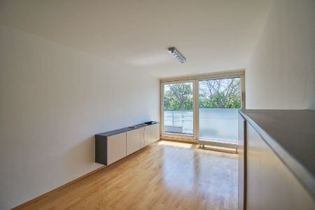 Modernes Zuhause direkt beim Augarten - Photo 3