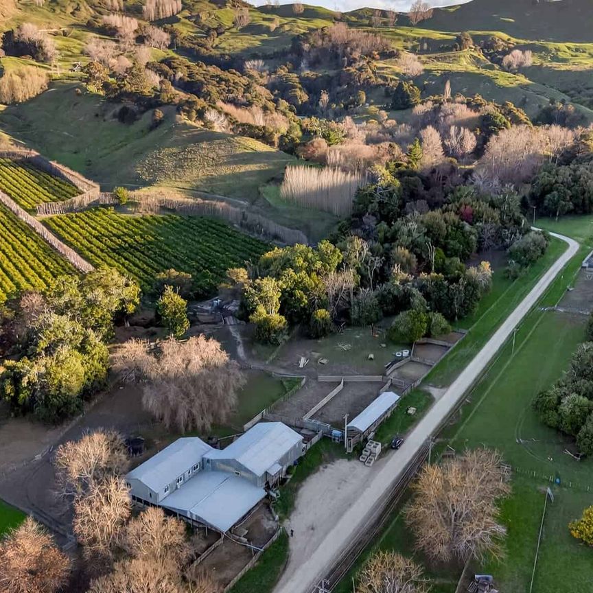 An Exceptional Coastal Lifestyle - Photo 1