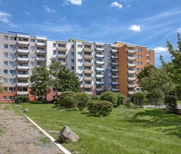 Demnächst frei! 1-Zimmer-Wohnung in Düsseldorf Hassels - Photo 2