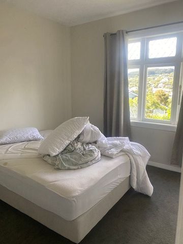 Renovated 4-Bedroom Home in Sunny Location - Photo 5