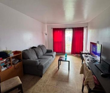 8951 Boul. Pie-IX, app.7, H1Z 3V4, H1Z 3V4, Montréal - Photo 2