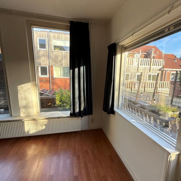 Zuidvliet 230B - Photo 1