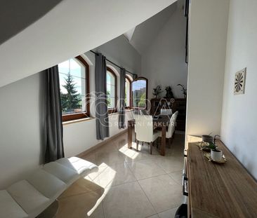 Pronájem domu 245 m² s pozemkem 386 m² - Photo 4