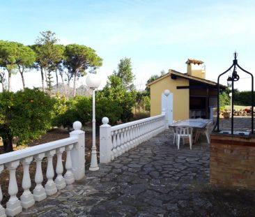 Pedreguer - Photo 6