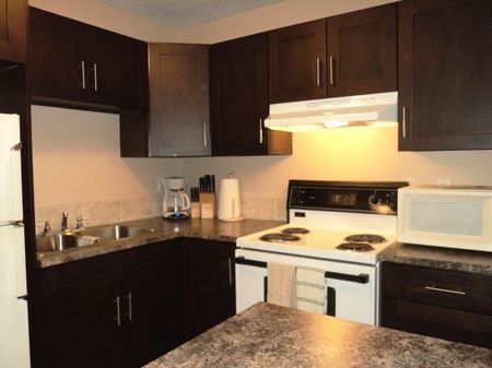 103, 6727 - 59 Ave - Photo 3