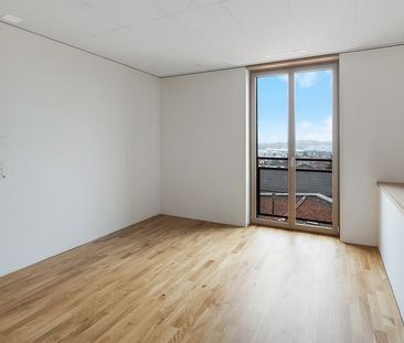 MIETEN OHNE KAUTION - Am Käferberg Attikawohnung mit Weitsicht - Photo 6
