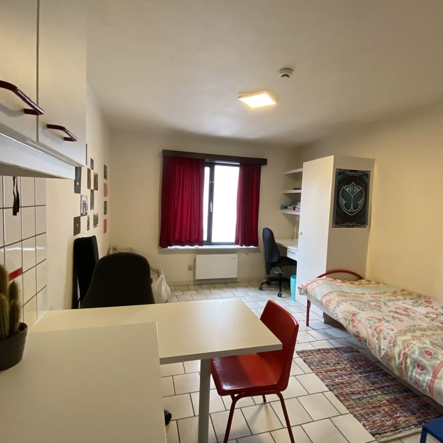 Eddies Iepenburg — Waar­schoot­straat - Photo 1