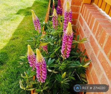 3 bedroom detached house to rent - Photo 6