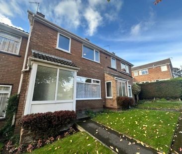 3 bedroom terraced house to rent - Photo 3