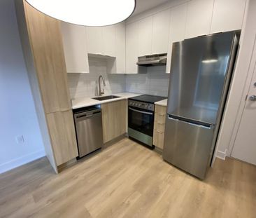 2 1/2 - Montréal (Hochelaga / Maisonneuve) - 1 230 $/mois - Photo 1