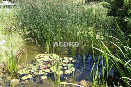 Warszawa M., Warszawa, Ursynów, Nugat - Photo 3