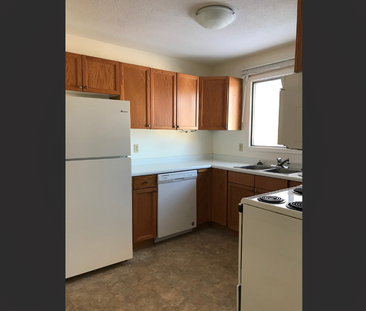 Large 3 Bedroom Home in Brevoort Park - Photo 1