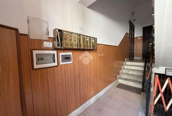 Quadrilocale in affitto