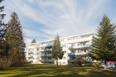 Neusanierte, helle 3-Zimmer-Wohnung an bestens erschlossener Lage in Dietlikon - Photo 4