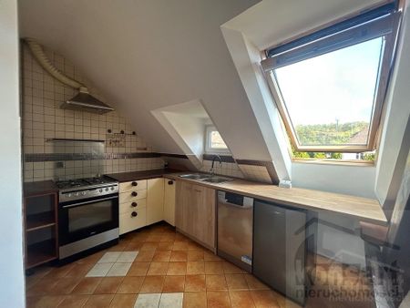 Do wynajęcia jako mieszkanie lub jako lokal - Photo 2