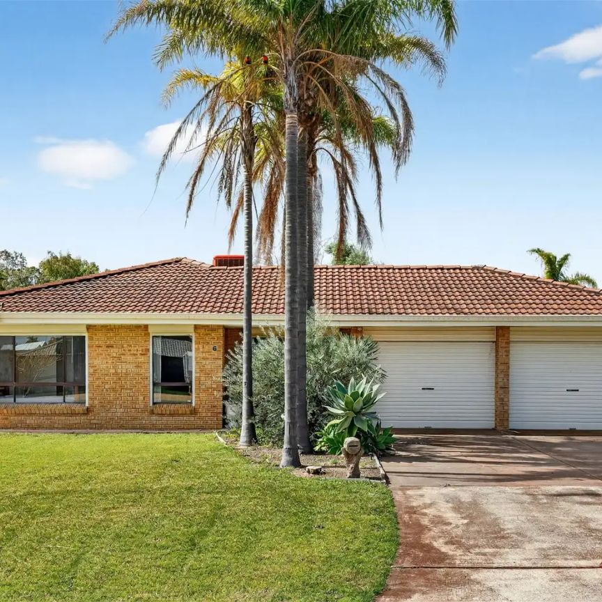 “Stylish Family Home for Lease in Spearwood ✨” - Photo 1